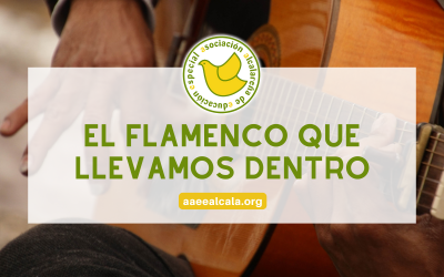 El flamenco que llevamos dentro